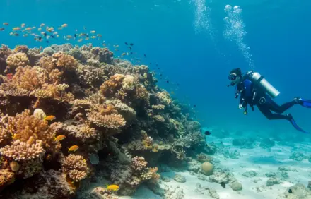 5 Fun Activities For Holidays